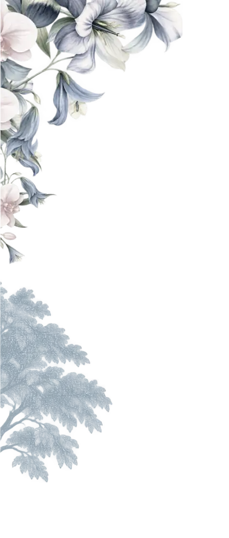 img-top-left